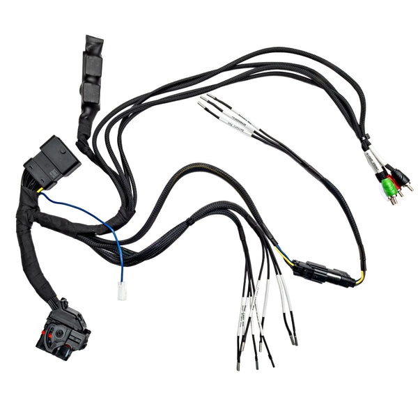 Diamond Audio 4-Channel Amplifier T-Harness | '14 - '23 Harley