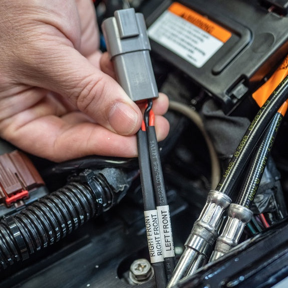 Rockford Fosgate Amplifier Installation Kit | '98 - '23 Harley-Davidson® Road King